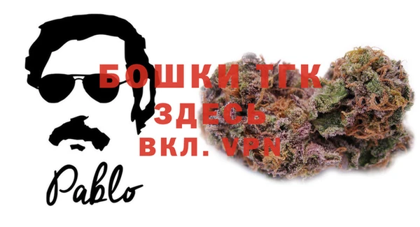 гидра Аркадак