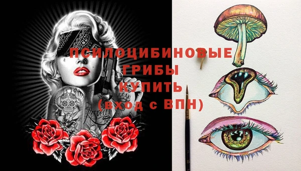 герыч Медногорск