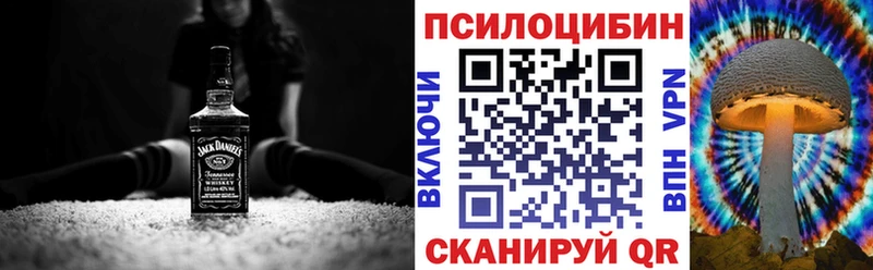 Галлюциногенные грибы Psilocybe omg вход Сурск купить сайты